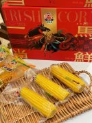 傻小胖:以“傻”守初心,用品质领鲜全国